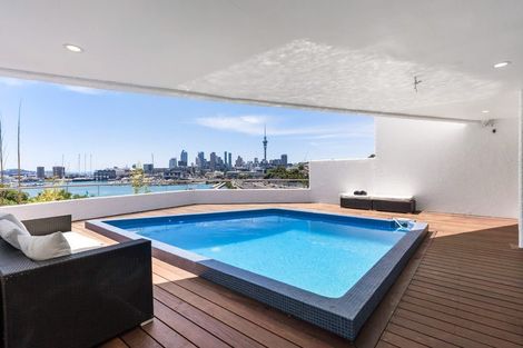 Photo of property in 19 Ring Terrace, Saint Marys Bay, Auckland, 1011