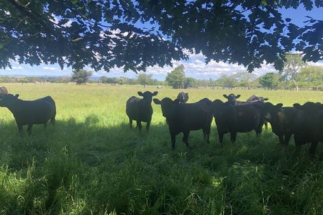 Photo of property in 225 Chester Road, West Taratahi, Carterton, 5791