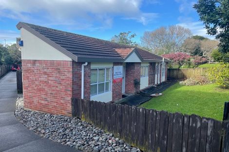 Photo of property in 14a Griffen Park Road, Mount Roskill, Auckland, 1041