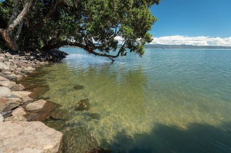 Photo of property in 25 Walnut Grove, Omokoroa, 3114