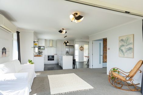 Photo of property in 142 Taylor Pass Road, Witherlea, Blenheim, 7201