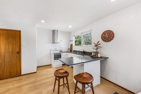 Photo of property in 248a Meola Road, Point Chevalier, Auckland, 1022