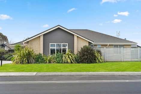 Photo of property in 19 Ladeira Place, Fitzroy, Hamilton, 3206