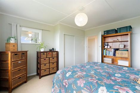 Photo of property in 51 Laward Road, Shannon, Palmerston North, 4474