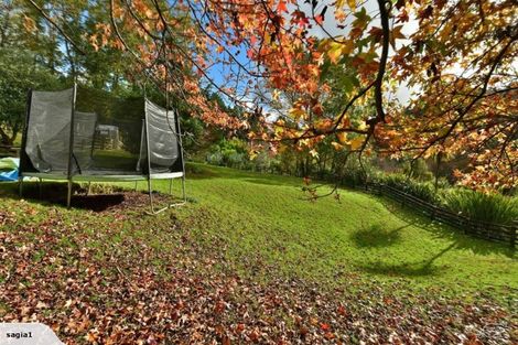 Photo of property in 515 Upper Waiwera Road, Puhoi, Silverdale, 0994