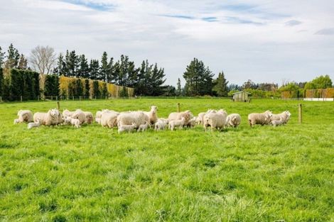 Photo of property in 2/638 Leeston Road, Springston, Christchurch, 7674