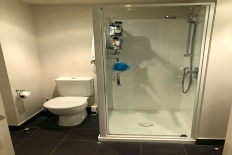 Photo of property in Soho Apartments, 504/74 Taranaki Street, Te Aro, Wellington, 6011