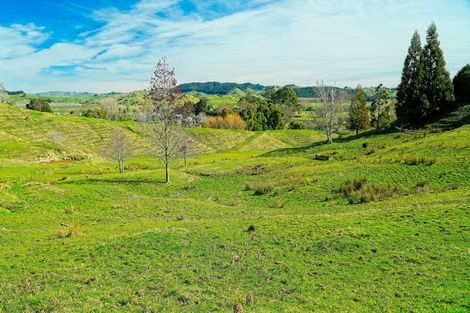 Photo of property in 40 Ormond Valley Road, Ormond, Gisborne, 4071