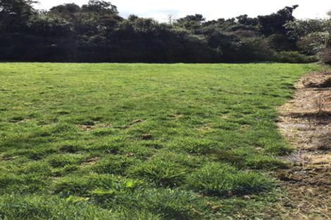 Photo of property in 17 Pauareka Road, Haast, 7886