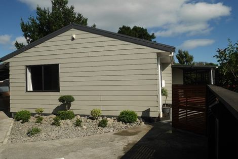 Photo of property in 55c Kirk Street, Otaki, 5512