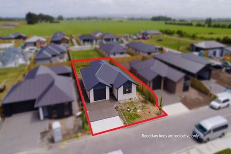 Photo of property in 39 Higgins Street, Marewa, Napier, 4110