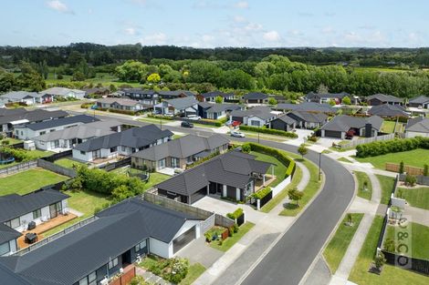 Photo of property in 31 Fruitlands Road, Kumeu, 0810