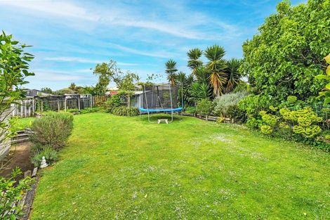 Photo of property in 8 Ashby Place, Pukekohe, 2120