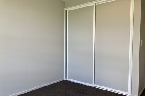 Photo of property in 35 Bonecrusher Street, Lincoln, 7608