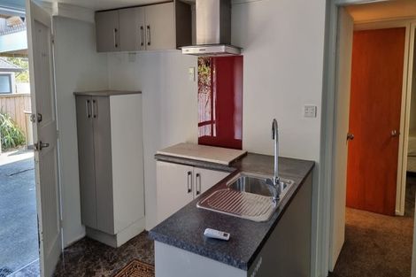 Photo of property in 30 Ellis Avenue, Mount Roskill, Auckland, 1041