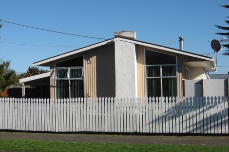 Photo of property in 27 Cobham Street, Levin, 5510