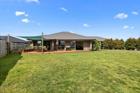 Photo of property in 141 Doncaster Drive, Papamoa Beach, Papamoa, 3118