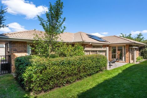 Photo of property in 432c Harewood Road, Harewood, Christchurch, 8051