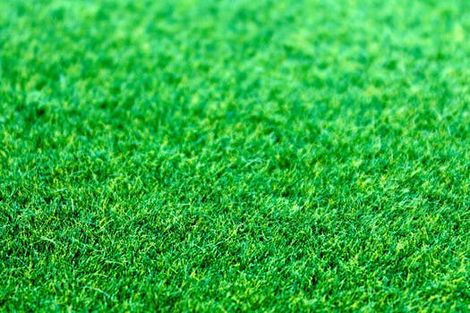 Photo of property in 19a Atkinson Avenue, Papatoetoe, Auckland, 2025