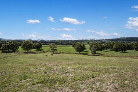 Photo of property in 105 Kerehunga Road, Poroti, Whangarei, 0179