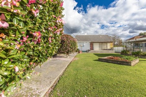 Photo of property in 21 Bibby Street, Waipawa, 4210