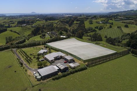 Photo of property in 108d Plummer Road, Whakamarama, Tauranga, 3179