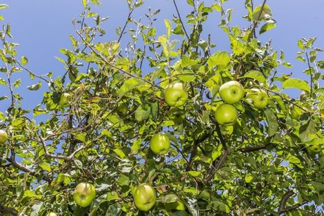 Photo of property in 11 Eclipse Lane, Whitby, Porirua, 5024