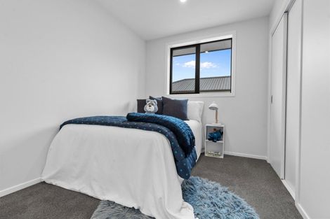 Photo of property in 22a Sussex Street, Levin, 5510