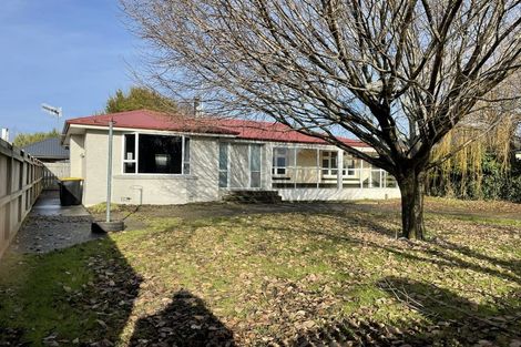 Photo of property in 125 Terrace Street, Rosedale, Invercargill, 9810