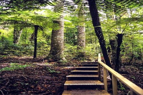 Photo of property in 116 Eaves Bush Parade, Orewa, 0931