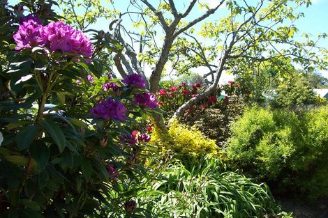 Photo of property in 7 Frayne Street, Fairlie, 7925