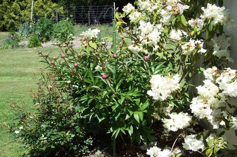 Photo of property in 7 Frayne Street, Fairlie, 7925