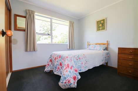 Photo of property in 45a Mckenzie Street, Geraldine, 7930