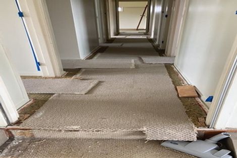 Photo of property in 3 Pedersen Place, Bucklands Beach, Auckland, 2012