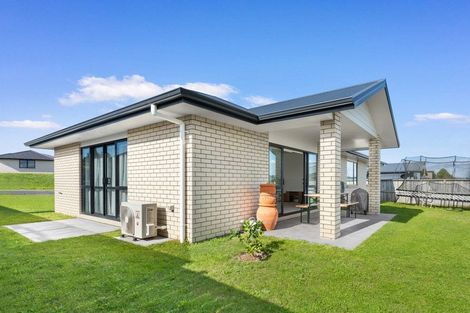 Photo of property in 17 Andrew Hilton Close, Morrinsville, 3300