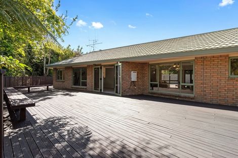 Photo of property in 15 Pascal Place, Flagstaff, Hamilton, 3210