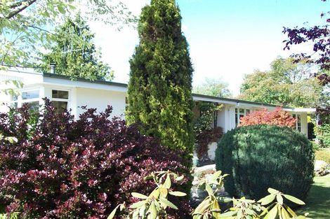 Photo of property in 7 Frayne Street, Fairlie, 7925