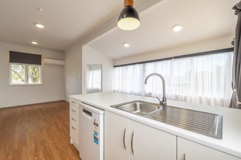 Photo of property in 19 Hamilton Street, East Gore, Gore, 9710