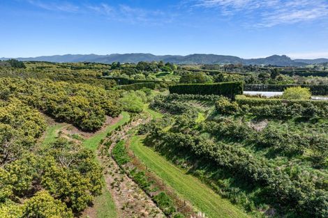 Photo of property in 124 Kauri Point Road, Tahawai, Katikati, 3170