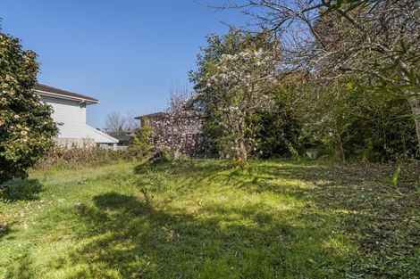 Photo of property in 113 Twelfth Avenue, Tauranga South, Tauranga, 3112