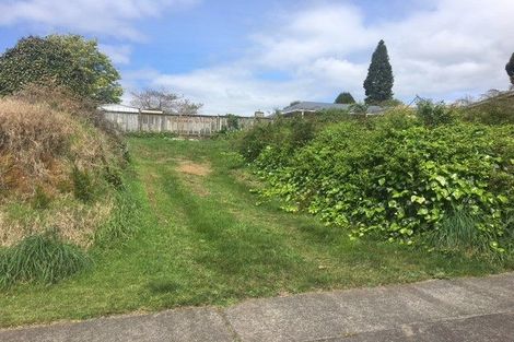 Photo of property in 3 View Street, Putaruru, 3411