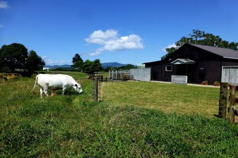 Photo of property in 19 Lerwick Lane, Nukuhou, 3196