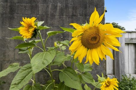 Photo of property in 43a Cambridge Terrace, Waiwhetu, Lower Hutt, 5010