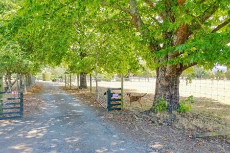 Photo of property in 200 Military Road, Otakiri, Whakatane, 3192