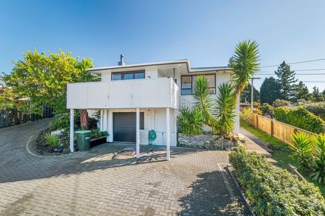 Photo of property in 20 Nikau Street, Springfield, Rotorua, 3015