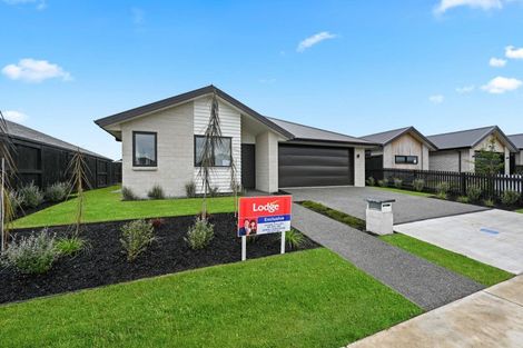 Photo of property in 18 Harp Street, Morrinsville, 3300