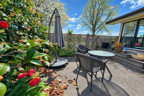 Photo of property in 9 Stiles Avenue, Waipukurau, 4200