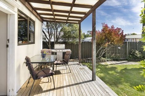 Photo of property in 26 Rogers Street, Blenheim, 7201