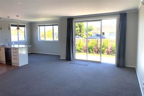 Photo of property in 36a Croucher Street, Richmond, 7020