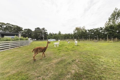 Photo of property in 97 Reid Line East, Aorangi, Feilding, 4775